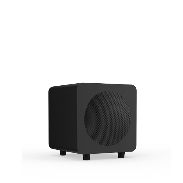 Audio Speaker