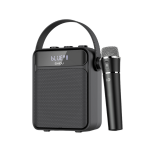 Voice Amplifiers/ PA System